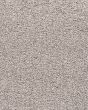 Simply Opulent SmartStrand 45oz Carpet