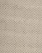 Kenetic Detail SmartStrand 55oz Carpet