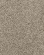 Instinctive Classic Ancient Ruins Textured 42oz SmartStrand Carpet