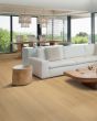 Andilet Glazer Ginger Oak BelleLuxe 8" Laminate