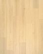 Andilet Glazer Ginger Oak BelleLuxe 8" Laminate