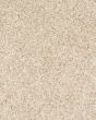 KS127 Textured 58oz Carpet