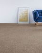 Lavish Attraction Textured Carpet