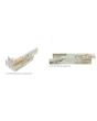Ledger Stone Beachwalk Quartz Natural Stone Tile