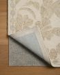 Lenore LNO-01 Ivory/Multi Area Rug