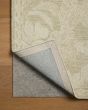 Lenore LNO-01 Sage/Natural Area Rug