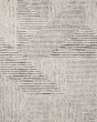 Levitt Shag LEV-02 Ivory/Grey Area Rug