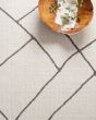 Logan LOG-01 Ivory/Charcoal Area Rug