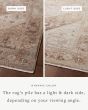Lyra LYR-07 Natural/Mocha Area Rug