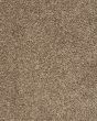 Mellow Retreat Textured SmartStrand Carpet