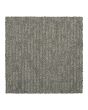 Modern Texture SmartStrand 46oz Carpet