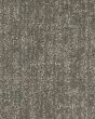 Modern Texture SmartStrand 46oz Carpet