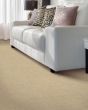 Modern Texture SmartStrand 46oz Carpet