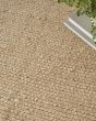 Natural Jute NJT01 Bleached Area Rug