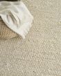 Natural Jute NJT01 Ivory Area Rug