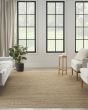 Natural Jute NJT01 Natural Area Rug