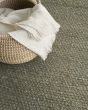 Natural Jute NJT01 Sage Area Rug