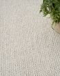 Natural Texture NTX01 Ivory Beige Area Rug