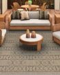 Naturalistic Adobe Natural/Brown Area Rug