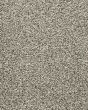 NatureÃ¢â‚¬â„¢s Allure II Knubby Wool Carpet