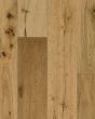 Nature's Canvas Silver White Oak Honeyed Gold Hardwood