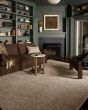 Newman NEW-01 Taupe/Bone Area Rug