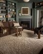 Newman NEW-02 Dark Taupe/Natural Area Rug