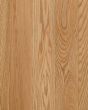 Natural Forest Oak 3 1/4" Natural Hardwood
