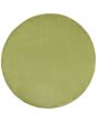 Nourison Essentials NRE01 Green Area Rug