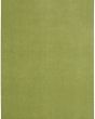 Nourison Essentials NRE01 Green Area Rug
