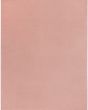 Nourison Essentials NRE01 Pink Area Rug