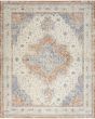 Nourison Essentials Persian NRE07 Beige Blue 10'x14' Area Rug