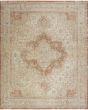 Nourison Essentials Persian NRE07 Beige Rust 10'x14' Area Rug