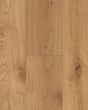 Noble's Way Caney 7" White Oak Hardwood