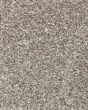 Roxborough Creek Textured 60oz Carpet