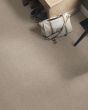 Oracle Sandstone Carpet
