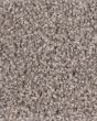 Oracle Stucco Carpet
