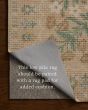 Orchard ORH-04 Sand/Multi Area Rug