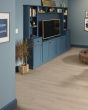 Allegiance + Acc Galleria Pine Pad Plank Luxury Vinyl