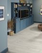 Allegiance + Acc Jackson Pine Pad Plank Luxury Vinyl