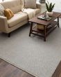 Drew & Jonathan Paloma Pearl Area Rug