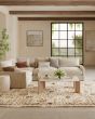 Pardis PRD01 Ivory Rust Area Rug