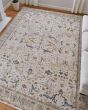 Pasha 39M4F Ivory/Blue/Red Area Rug