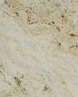 Pietra Romance Almond Matte Porcelain Tile