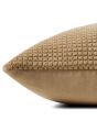 PLL0130 Tan 22" Pillow
