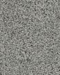 Posh Beauty Textured SmartStrand Carpet