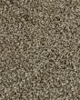 Posh Beauty Textured SmartStrand Carpet