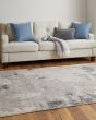 Prasad 3970F Ivory/Gray Area Rug