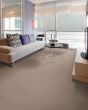 Pristine View SmartStrand Patterned Carpet