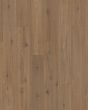 Pergo Elements Freywood Springs Hazelnut Hickory 8" Laminate